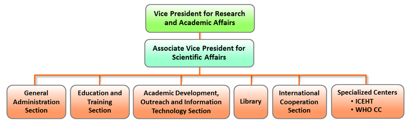 org_chart_academic_affairs-s.png