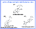 announcement:articles:2009_articles:2009_07_29_fathalai:2009_07_29_fathalai_3.gif