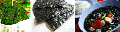 announcement:articles:2010_articles:2010_05_03_seaweed:2010_05_03_seaweed.gif