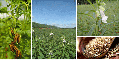announcement:articles:2010_articles:2010_05_04_sesame:2010_05_04_sesame_1.gif