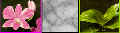 announcement:articles:2010_articles:2010_05_06_orchid:2010_05_06_orchid_1.gif