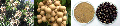 announcement:articles:2010_articles:2010_06_02_longan:2010_06_02_longan.gif