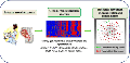 lab:environmental_toxicology:arsenic2.gif