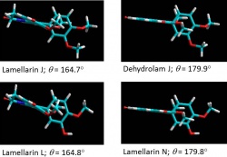 lamellarins01_cropped.jpg