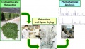 lab:pharmacology:res_act:extract.jpg