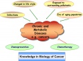 lab:pharmacology:res_act:knowledge_in_biology_of_cancer.jpg