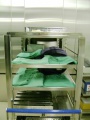 stock_photo:labs:animal:activities:cage_washing:cage_washing1_o.jpg