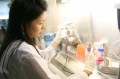 stock_photo:labs:biochem:activities:cell_culture:cell_culture2_l.jpg