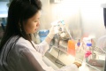 stock_photo:labs:biochem:activities:cell_culture:cell_culture2_o.jpg