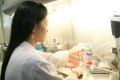 stock_photo:labs:biochem:activities:cell_culture:cell_culture3_o.jpg