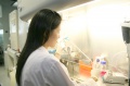 stock_photo:labs:biochem:activities:cell_culture:cell_culture4_l.jpg