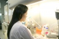 stock_photo:labs:biochem:activities:cell_culture:cell_culture4_o.jpg