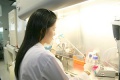 stock_photo:labs:biochem:activities:cell_culture:cell_culture4_s.jpg