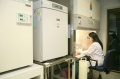 stock_photo:labs:biochem:activities:cell_culture:cell_culture5_l.jpg