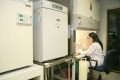 stock_photo:labs:biochem:activities:cell_culture:cell_culture5_o.jpg