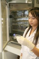 stock_photo:labs:biochem:activities:cell_culture:cell_culture7_s.jpg