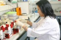 stock_photo:labs:biochem:activities:electrophoresis:electrophoresis5_l.jpg