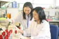 stock_photo:labs:biochem:activities:electrophoresis:electrophoresis7_l.jpg