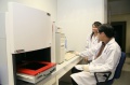 stock_photo:labs:biochem:activities:gel_document:gel_document1_l.jpg