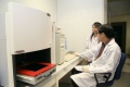 stock_photo:labs:biochem:activities:gel_document:gel_document1_o.jpg