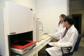 stock_photo:labs:biochem:activities:gel_document:gel_document1_s.jpg