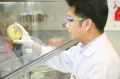 stock_photo:labs:biotech:activities:cell_culture:cell_culture1_l.jpg