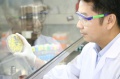 stock_photo:labs:biotech:activities:cell_culture:cell_culture2_l.jpg