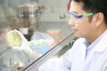 stock_photo:labs:biotech:activities:cell_culture:cell_culture2_s.jpg