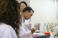 stock_photo:labs:biotech:activities:cgi_training:training6_l.jpg