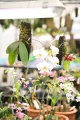 stock_photo:labs:biotech:activities:culture_unit:greenhouse:greenhouse2_s.jpg