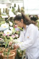 stock_photo:labs:biotech:activities:culture_unit:greenhouse:greenhouse6_o.jpg