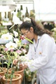 stock_photo:labs:biotech:activities:culture_unit:greenhouse:greenhouse6_s.jpg