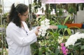 stock_photo:labs:biotech:activities:culture_unit:greenhouse:greenhouse9_l.jpg
