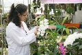 stock_photo:labs:biotech:activities:culture_unit:greenhouse:greenhouse9_s.jpg