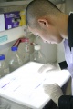 stock_photo:labs:biotech:activities:electrophoresis:electrophoresis3_o.jpg
