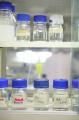 stock_photo:labs:biotech:activities:lab_analysis:lab_analysis2_l.jpg