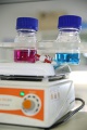stock_photo:labs:biotech:activities:lab_analysis:lab_analysis5_s.jpg