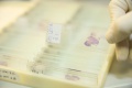 stock_photo:labs:chem_car:activities:dna_slide:dna_slide1_o.jpg