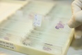 stock_photo:labs:chem_car:activities:dna_slide:dna_slide2_o.jpg