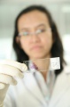 stock_photo:labs:chem_car:activities:dna_slide:dna_slide3_l.jpg
