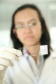 stock_photo:labs:chem_car:activities:dna_slide:dna_slide3_s.jpg