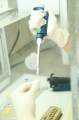 stock_photo:labs:chem_car:activities:pcr:pcr1_l.jpg