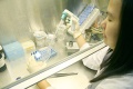 stock_photo:labs:envi_tox:activities:cell_culture:cell_culture1_s.jpg