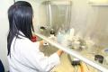 stock_photo:labs:envi_tox:activities:cell_culture:cell_culture2_s.jpg