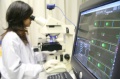 stock_photo:labs:envi_tox:activities:comet_assay:comet_assay1_l.jpg