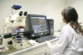 stock_photo:labs:envi_tox:activities:comet_assay:comet_assay2_l.jpg