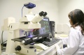 stock_photo:labs:envi_tox:activities:comet_assay:comet_assay4_l.jpg