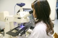 stock_photo:labs:envi_tox:activities:comet_assay:comet_assay5_l.jpg