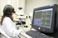 stock_photo:labs:envi_tox:activities:comet_assay:comet_assay6_l.jpg