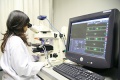 stock_photo:labs:envi_tox:activities:comet_assay:comet_assay6_s.jpg